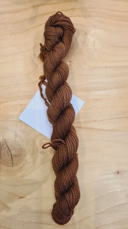 Forêt de lilas oupsy 