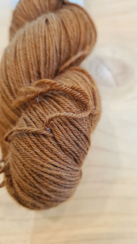 Noisette f 