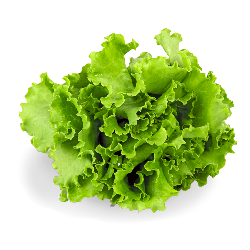 Salade de saison