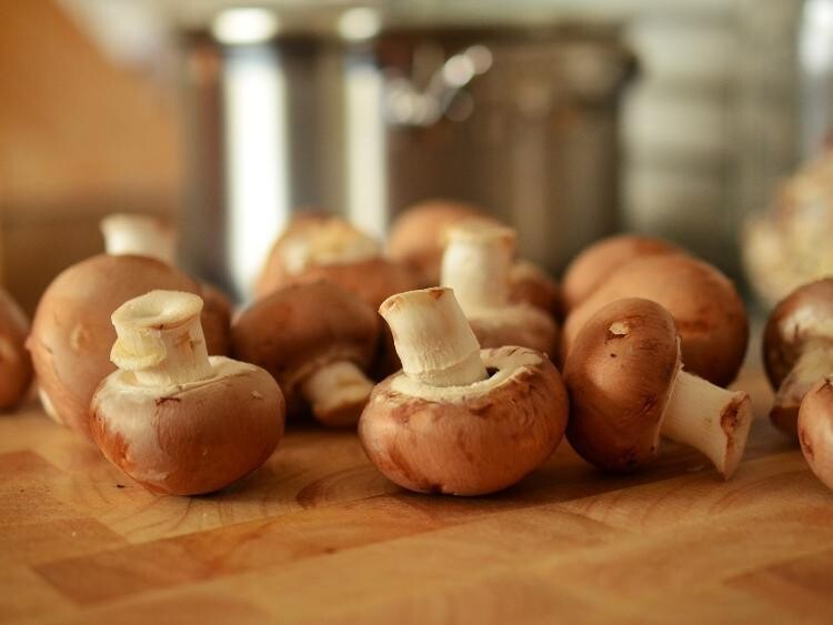 Champignons bruns de Paris, sans pesticides