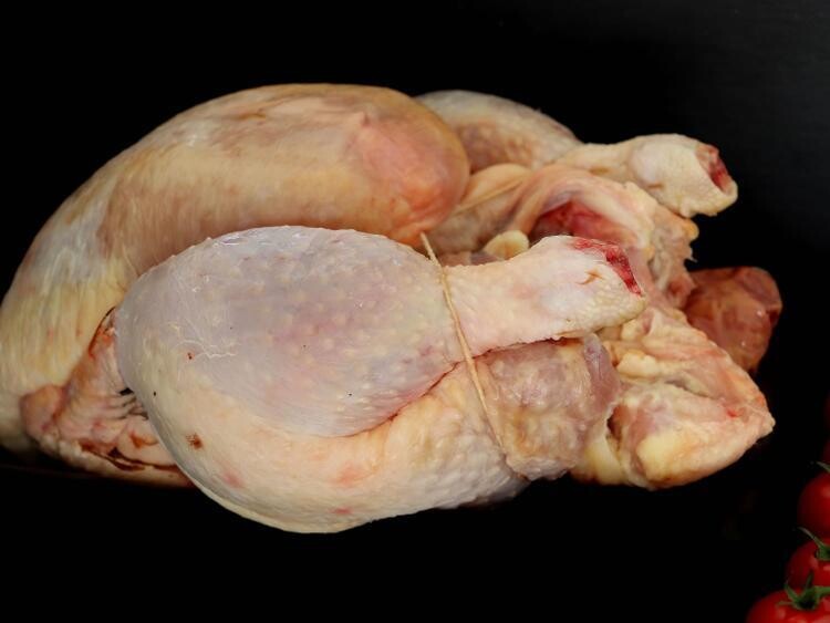 Belle Poule au Sol