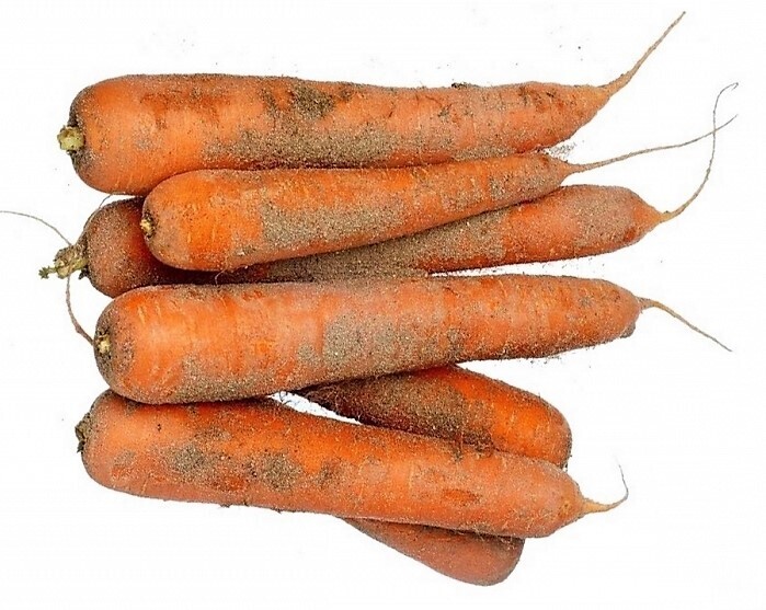Carottes de Sable de Normandie