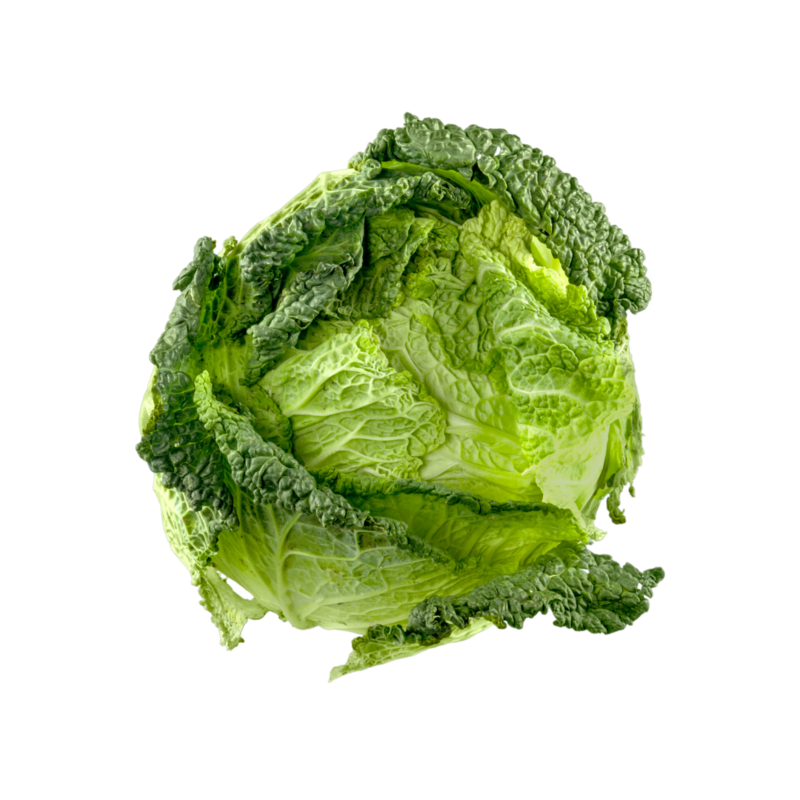 Chou Vert frisé