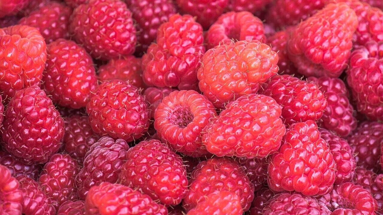 3 x Framboises*** de JUMIÉGES