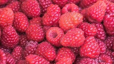 3 x Framboises*** de JUMIÉGES