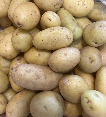 Pommes de terre - sans traitement anti germinatif