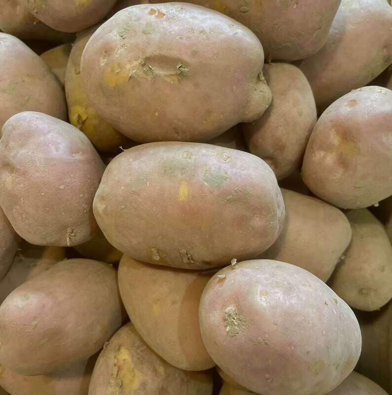 Pommes de terre - sans traitement anti germinatif