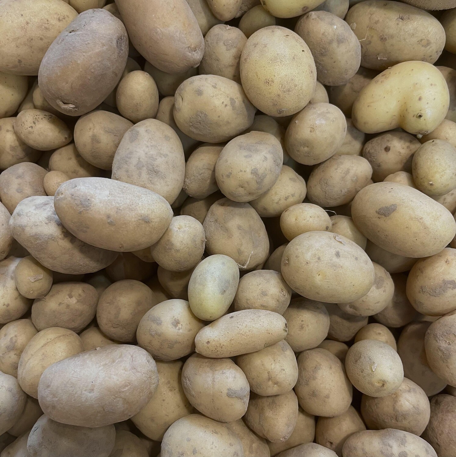 Pommes de terre Grenailles Bio