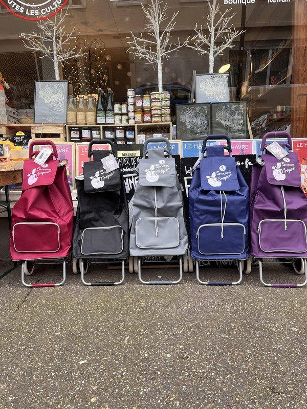 Chariot pliable de courses - Gris clair