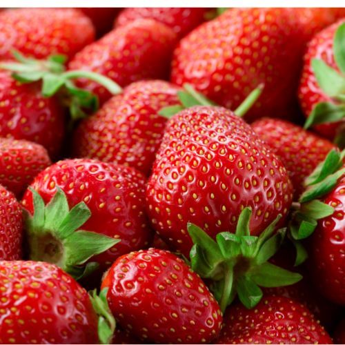 3 x Fraises*** de Jumièges en Normandie