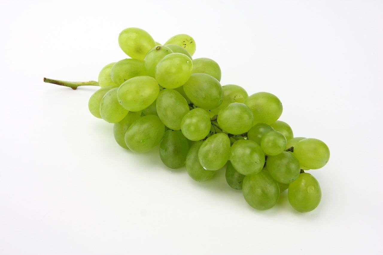 Raisin Blanc Bio de Sicile