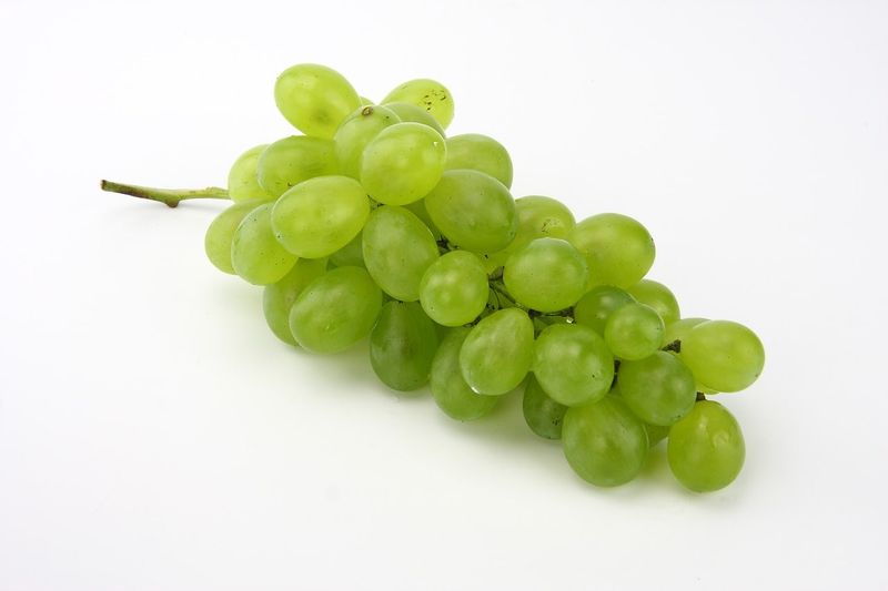 Raisin Blanc Bio de Sicile