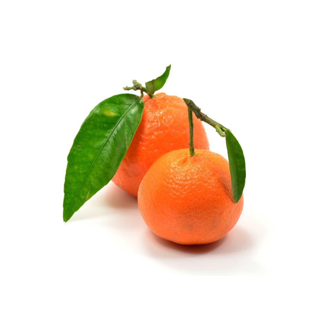 Clémentines bio de Corse