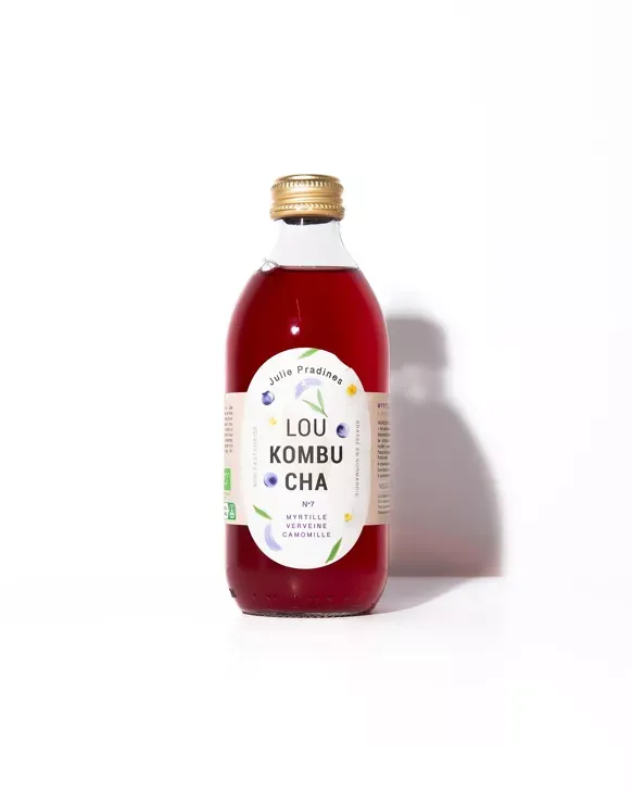 Kombucha, boisson fermentée à base de plantes