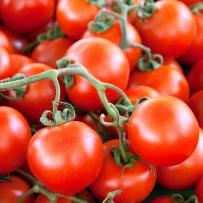 Tomates grappes