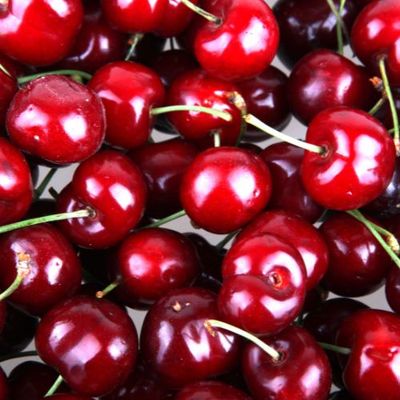 Cerises de Jumièges