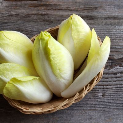 Endives du Nord