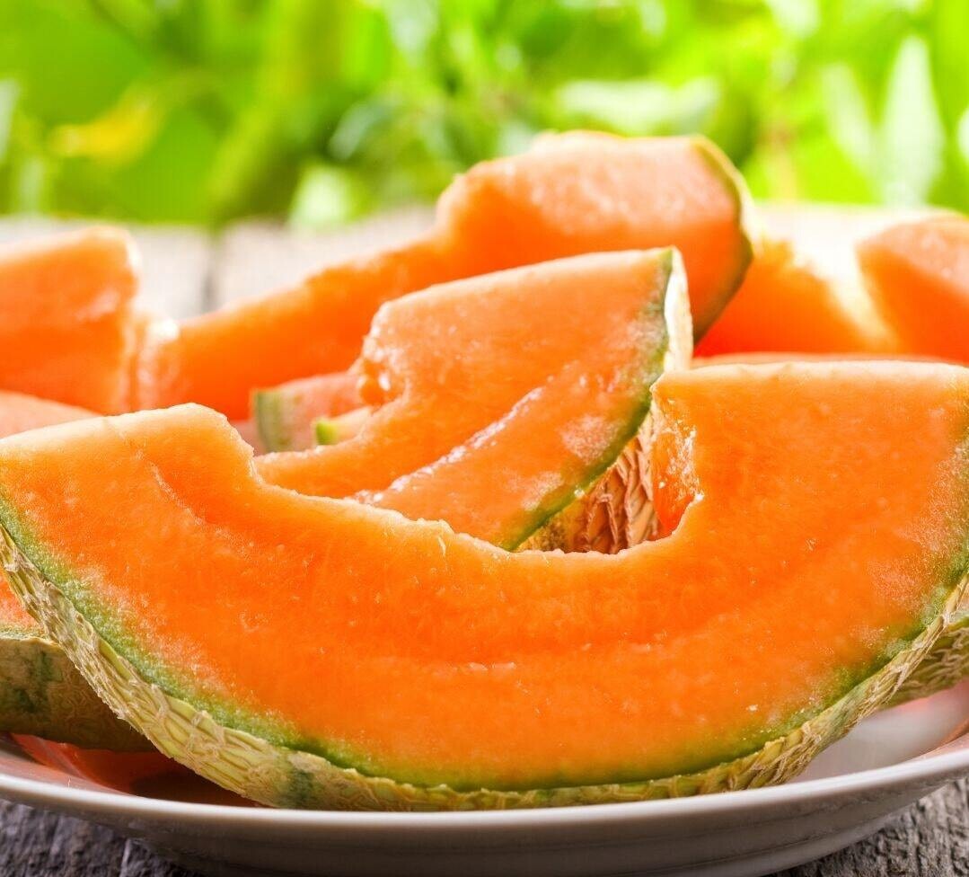 Melon Bio Charentais