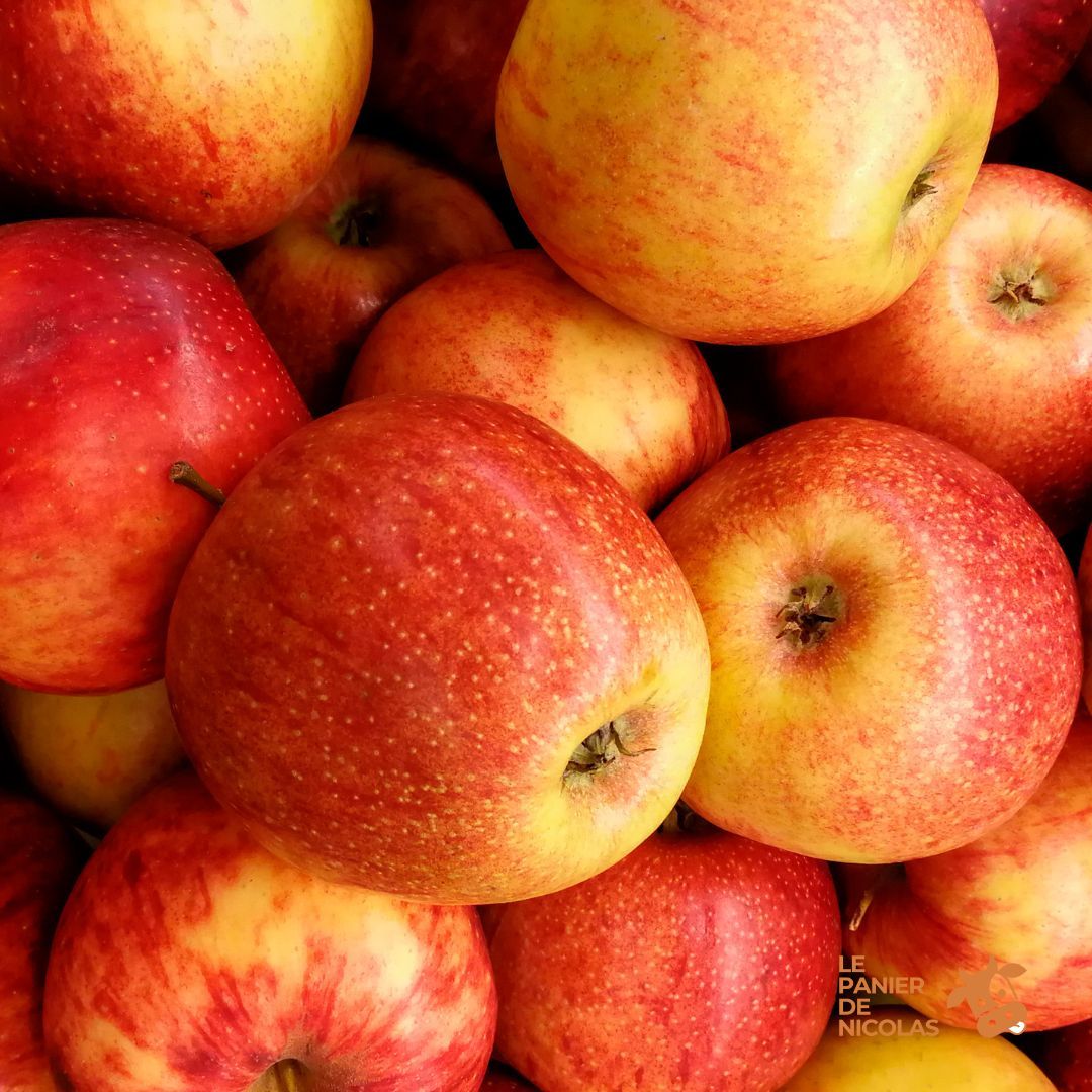 Pommes de Jumièges***