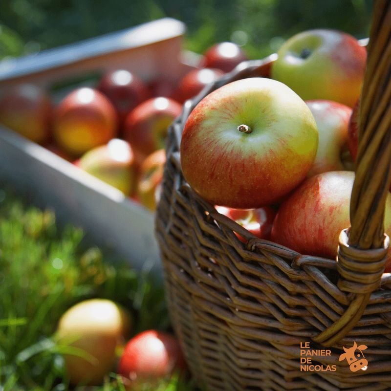Pommes de Jumièges***