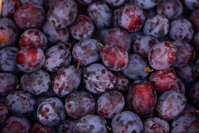 Prunes Bleues Bio