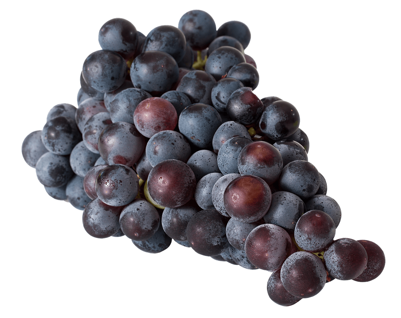 Raisin Noir Bio de Provence