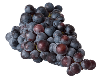Raisin Noir Muscat de Provence