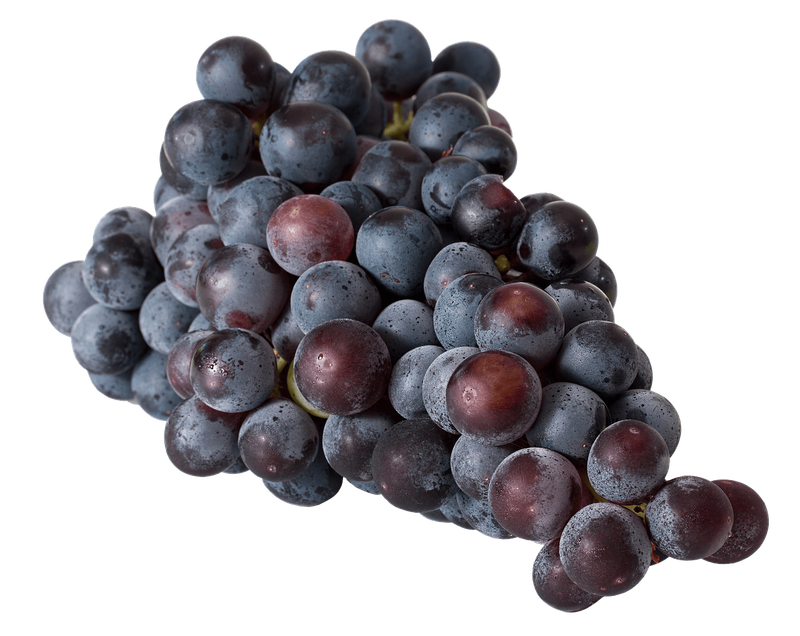 Raisin Noir Bio de Provence