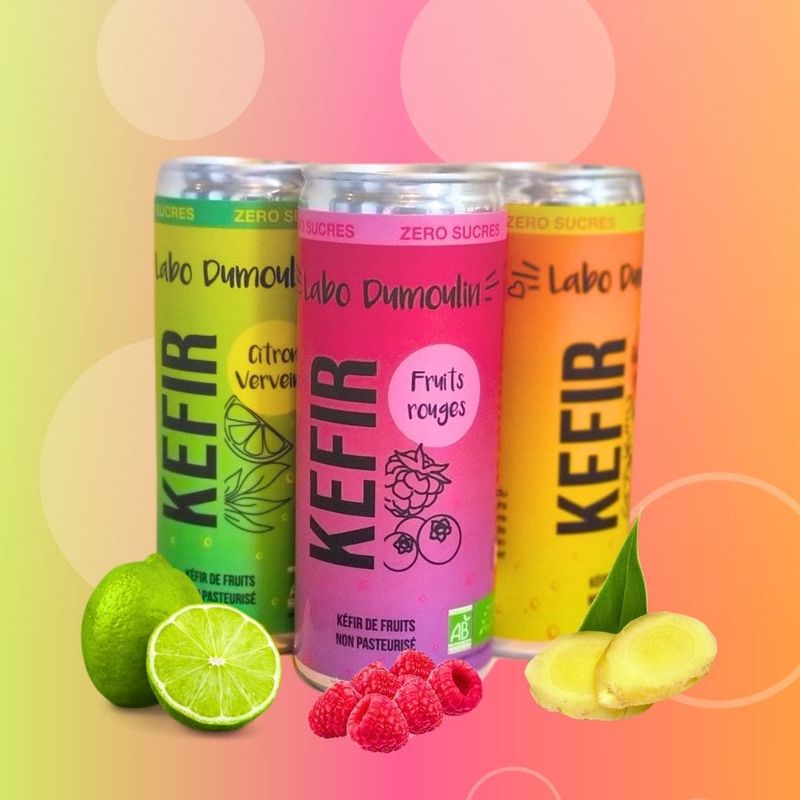 Kéfir, boisson fermentée aux fruits (25cL)