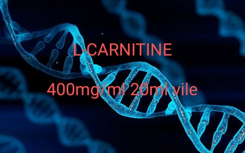L-Carnitine 400MG/ml – 20ml Vile