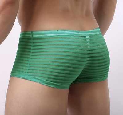 Sexy  Men Stripe See Through