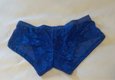 Men Mesh Royal  Bikini Panties