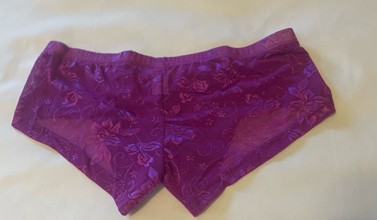 Men Mesh Purple Bikini Panties
