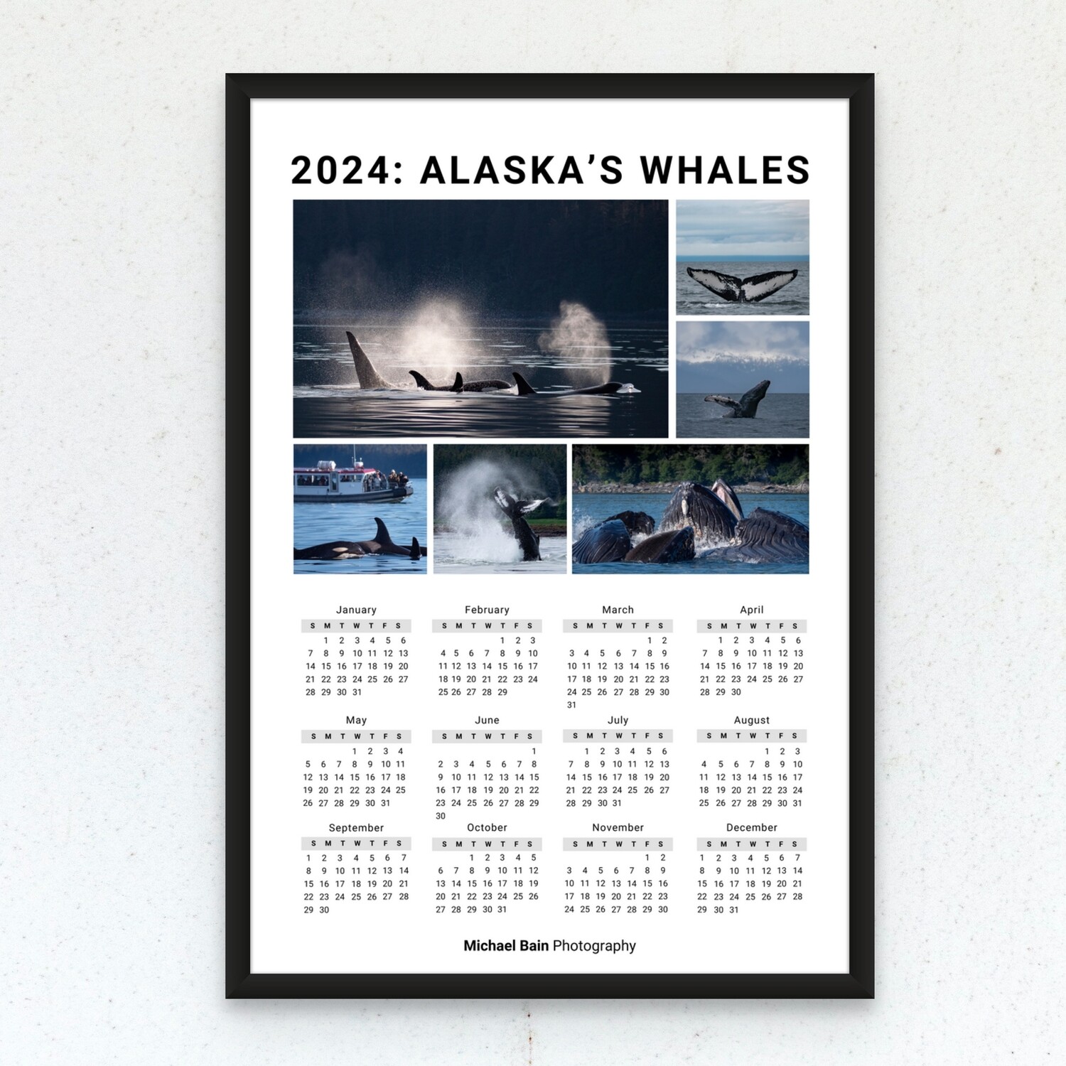 2024 Calendar: Alaska’s Whales
