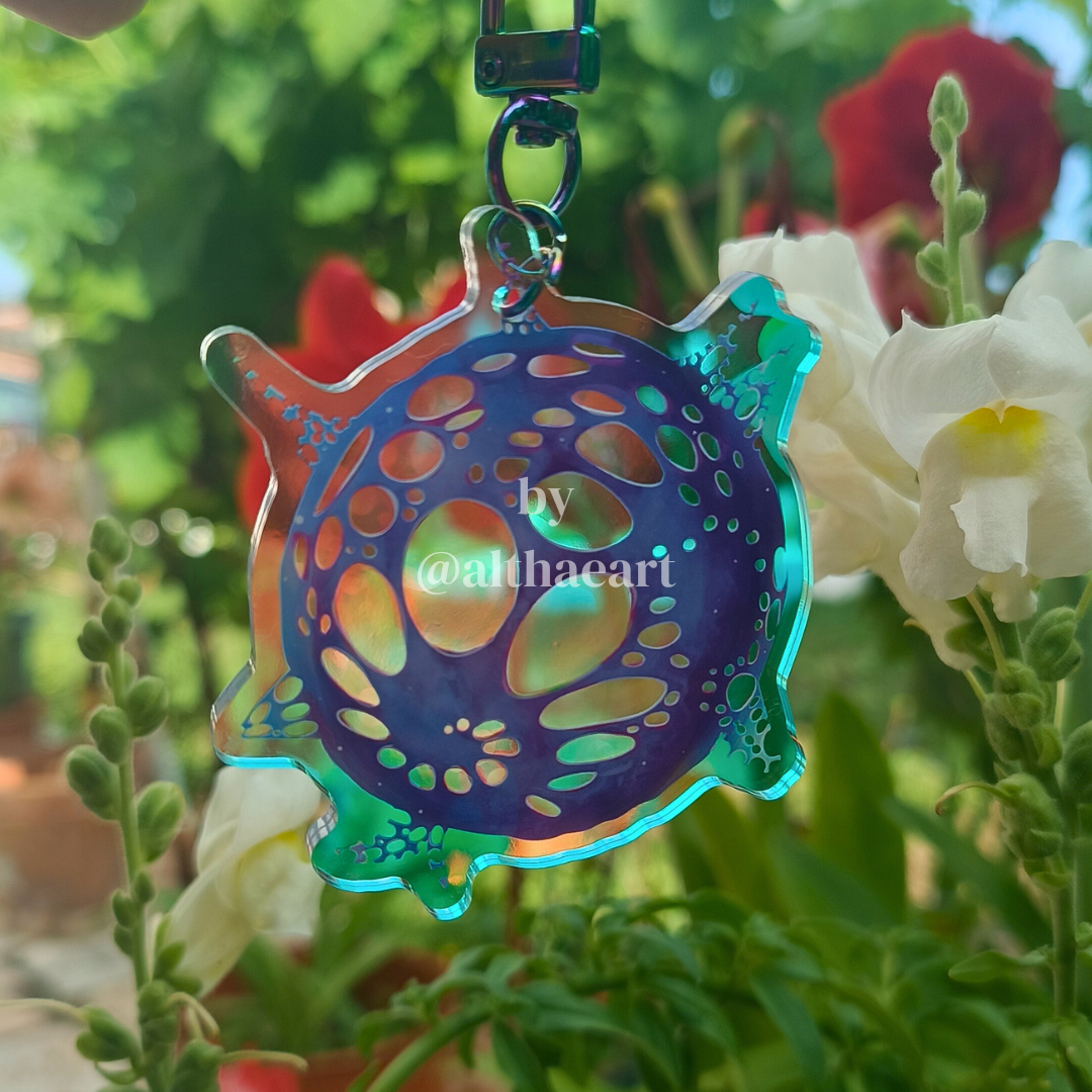 ⭐ANOMALY COLLECTION⭐ new stuff!
