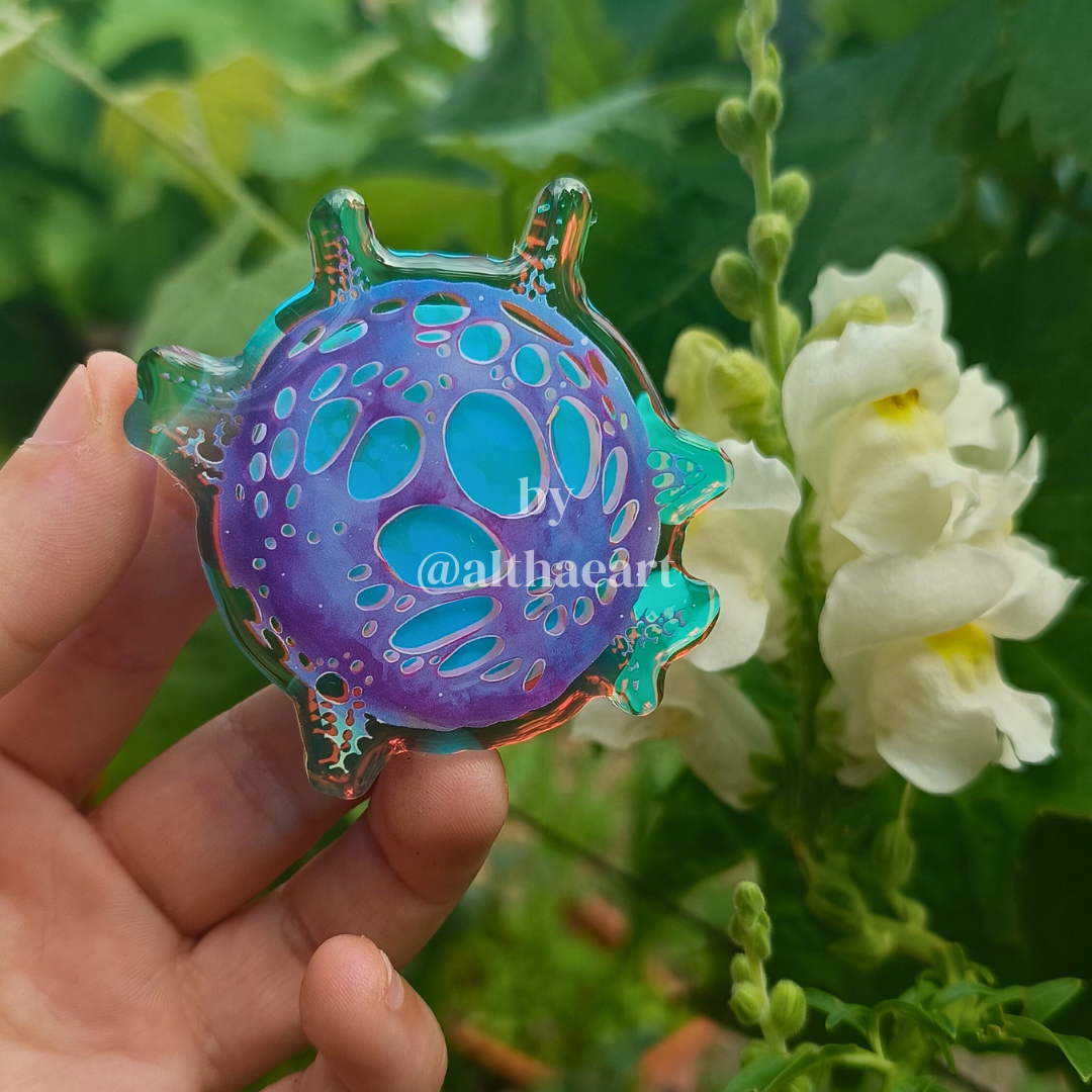 ⭐ANOMALY COLLECTION⭐ new stuff!