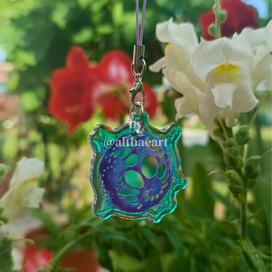 ⭐ANOMALY COLLECTION⭐ new stuff!