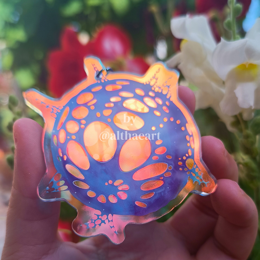 ⭐ANOMALY COLLECTION⭐ new stuff!