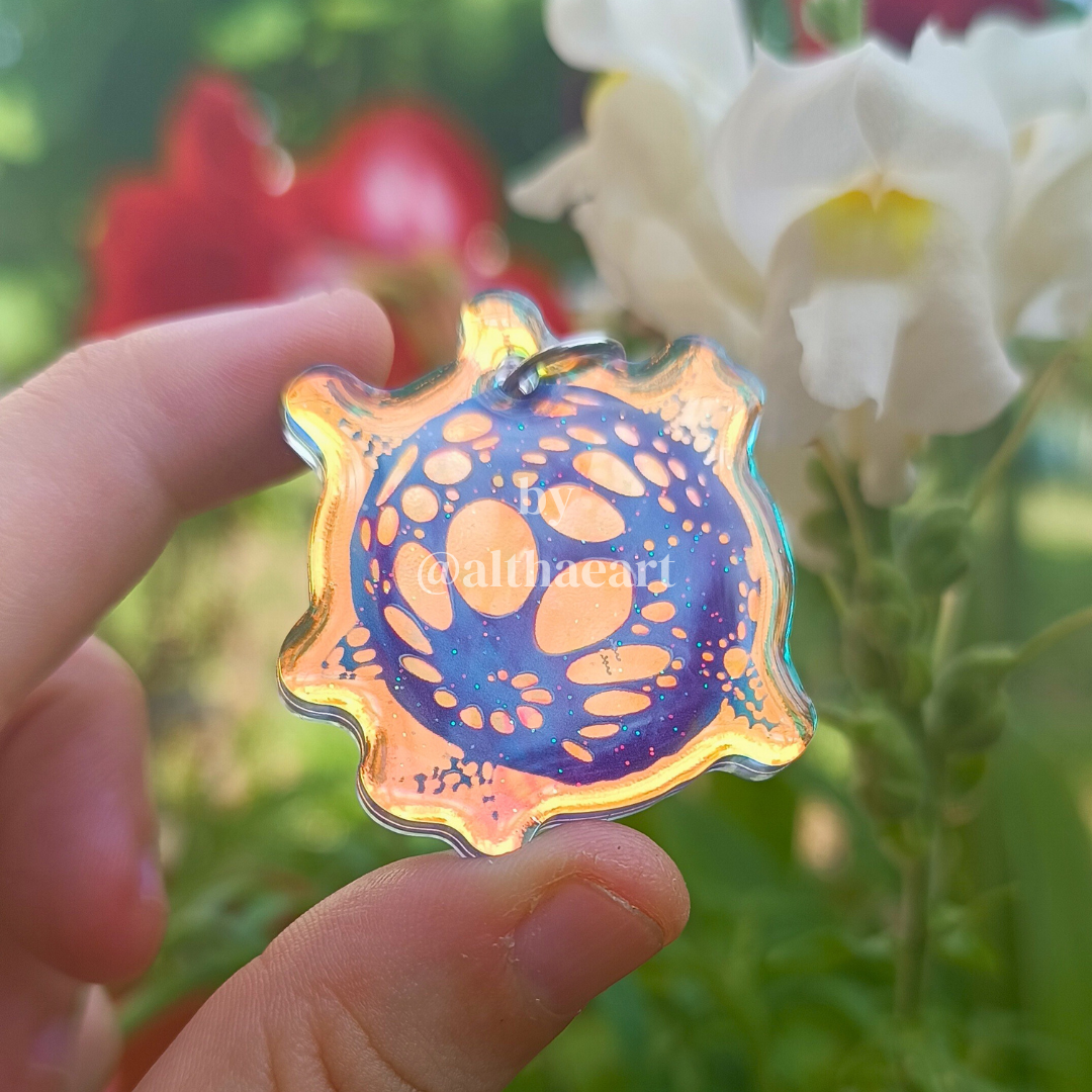 ⭐ANOMALY COLLECTION⭐ new stuff!