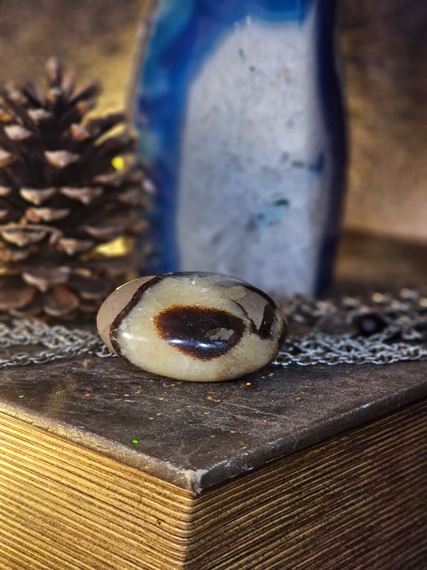 Septarian Palm Stone