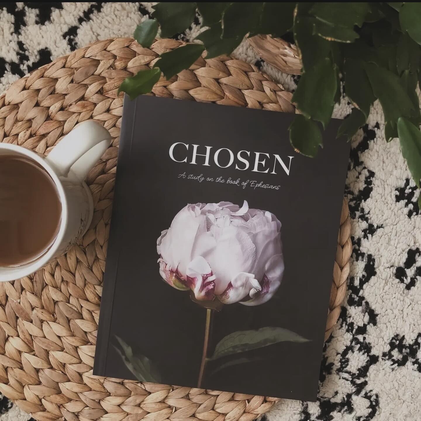 Chosen Study of Ephesians