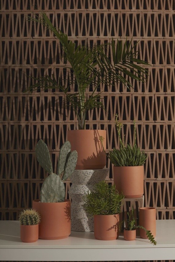Cactus Terracotta Potting