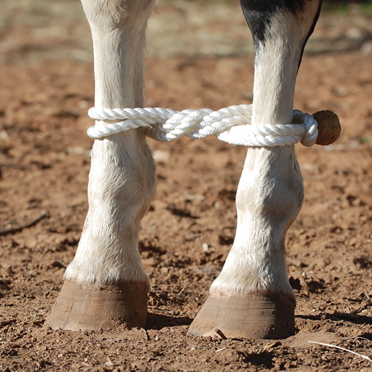 Rope Hobbles