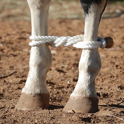 Rope Hobbles