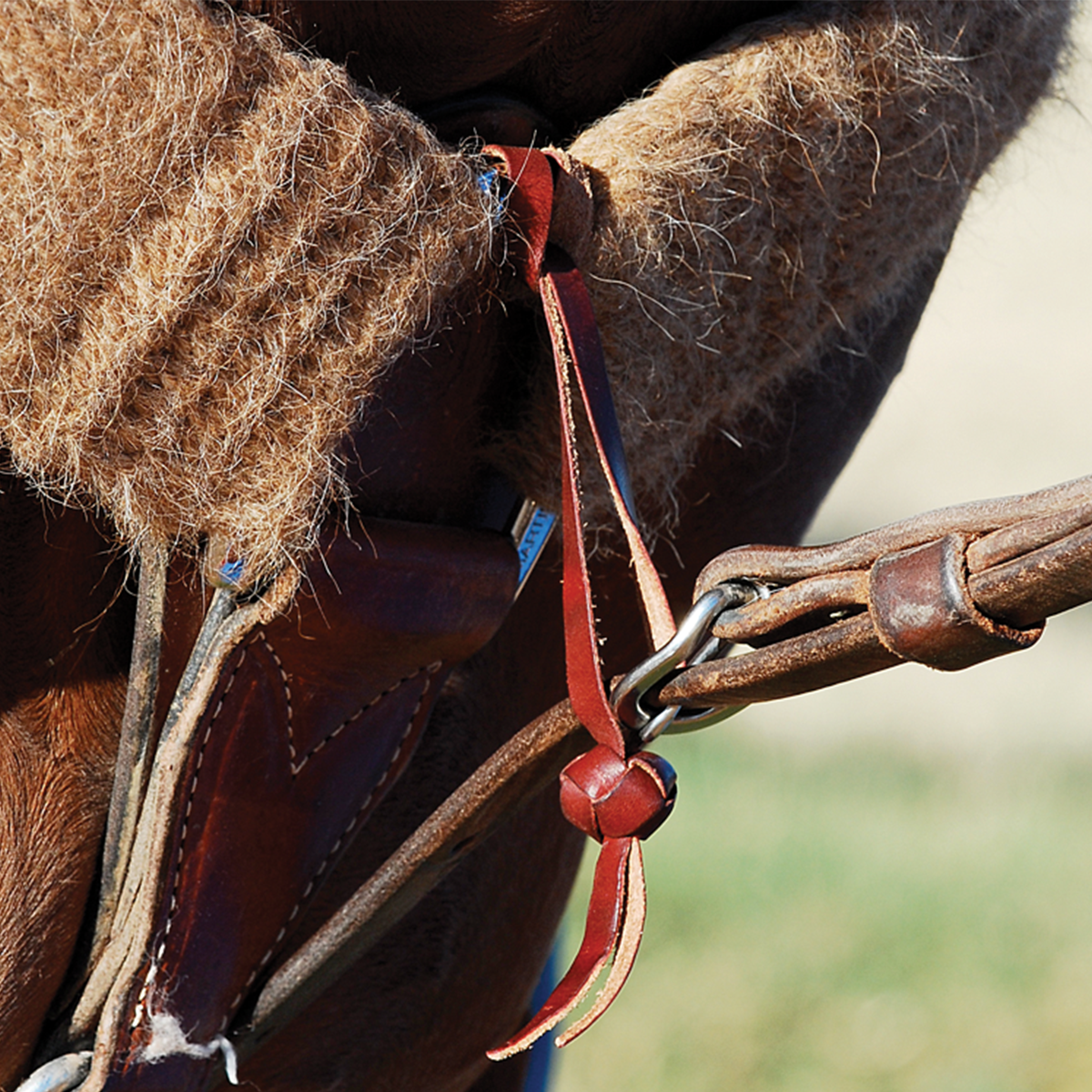 Tie Down Hobble W/Button Knot