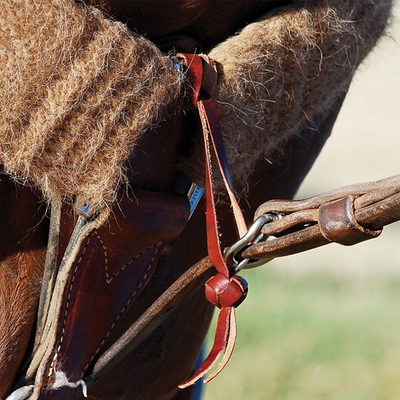 Tie Down Hobble W/Button Knot
