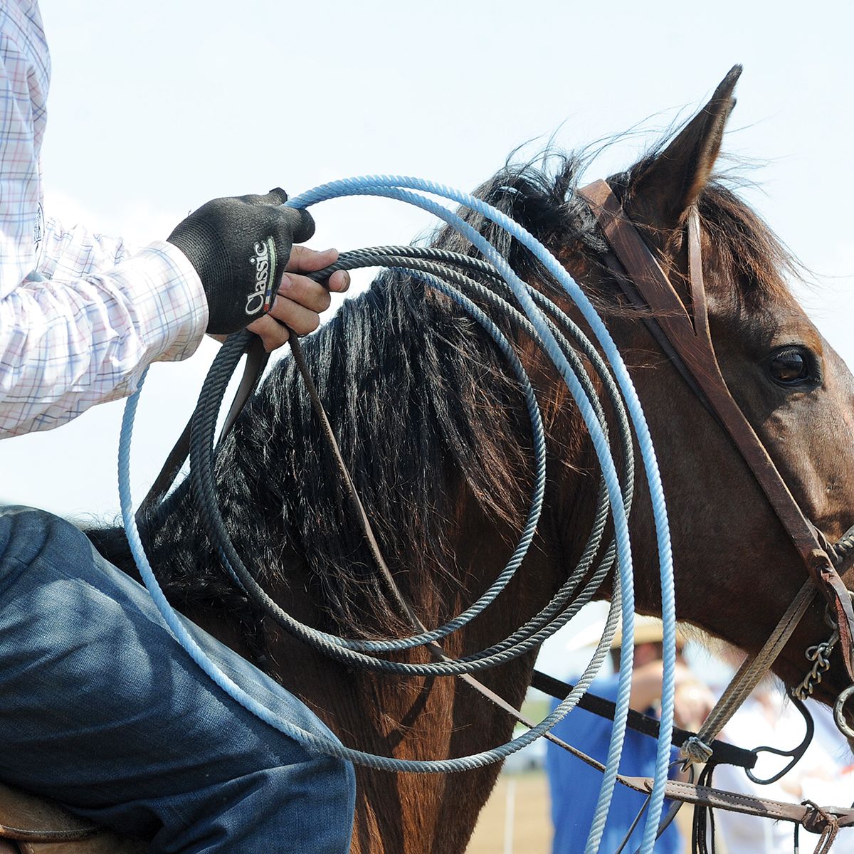 HP Roping Glove Classic Black