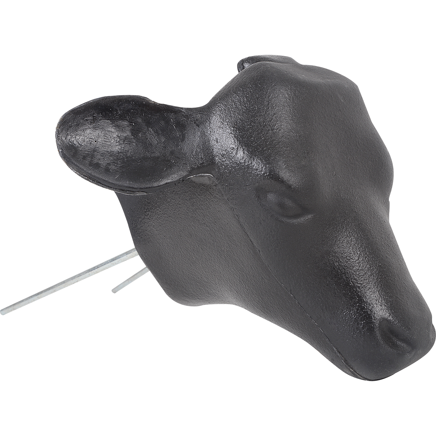 Calf Head, Options: Black