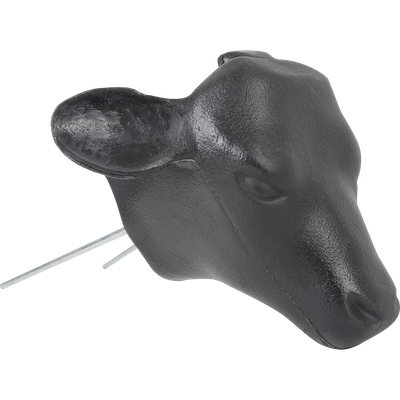 Calf Head