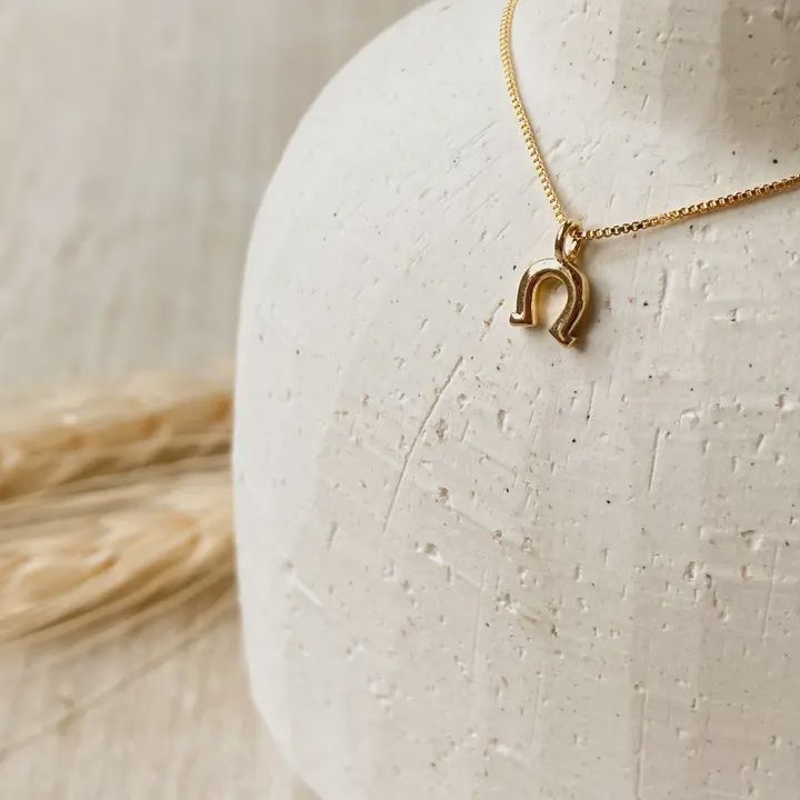 The Rodeo Necklace